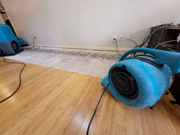 Professional Structural Drying technician working in Pendleton, OR